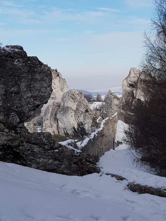 Pokoje Przy Zamku Podzamcze  Kültér fotó