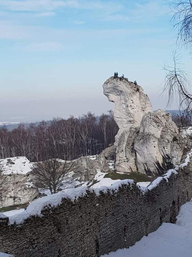 Pokoje Przy Zamku Podzamcze  Kültér fotó
