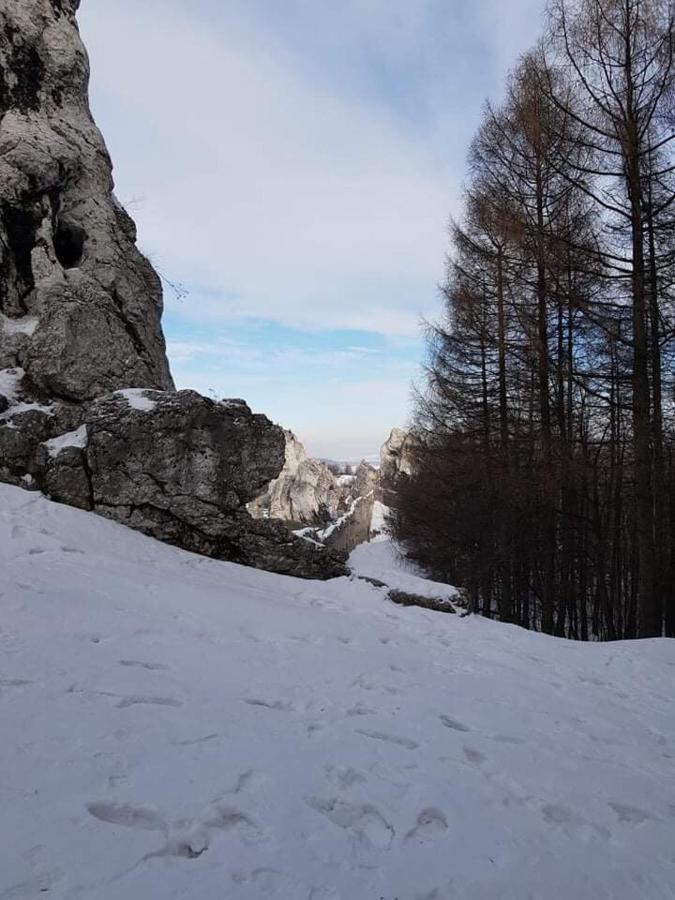 Pokoje Przy Zamku Podzamcze  Kültér fotó